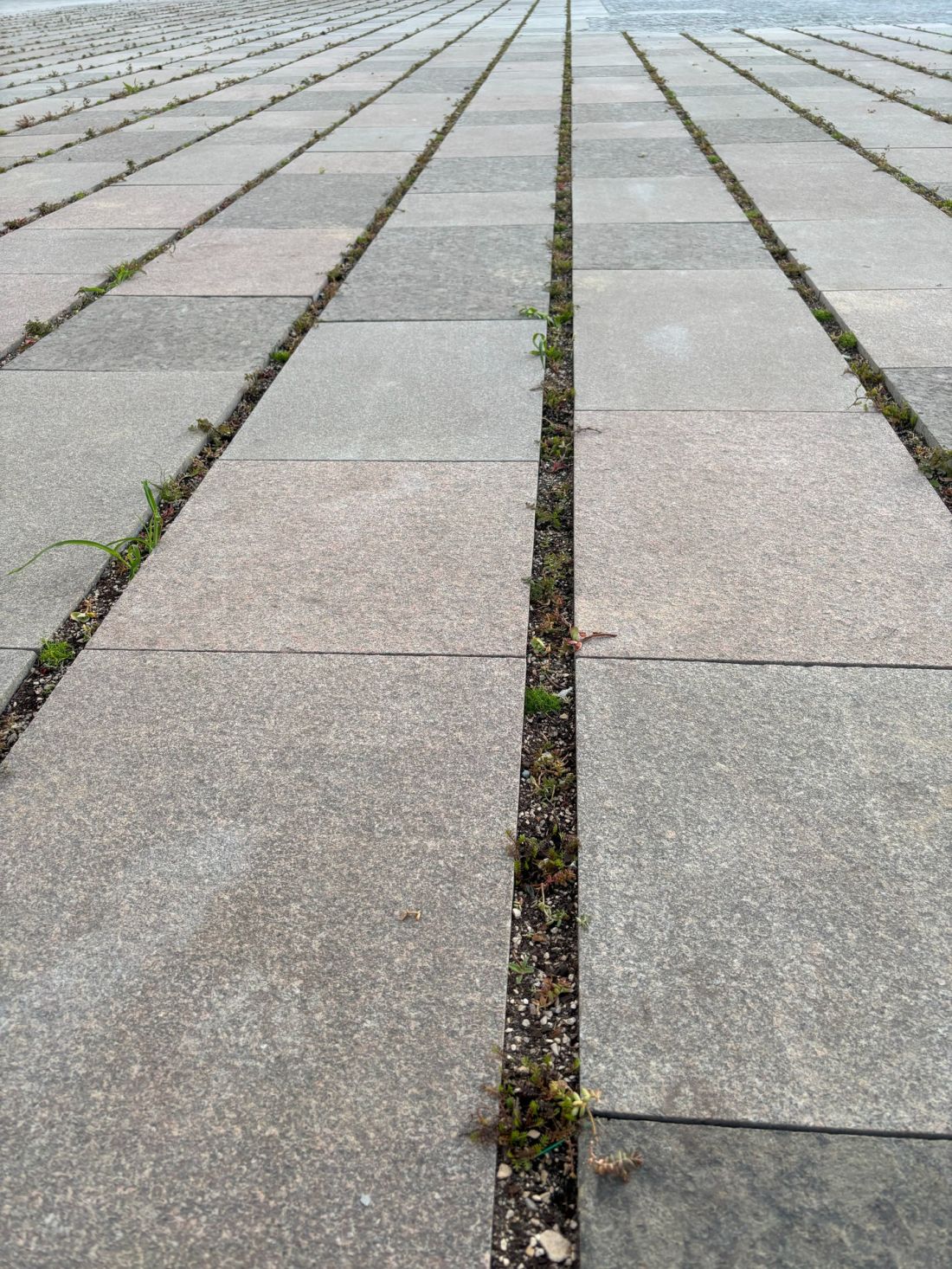 Plac Centralny w Warszawie