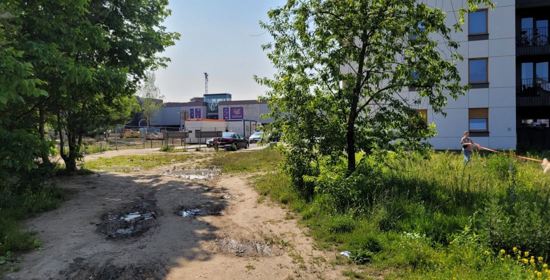 nowe zieleńce w Poznaniu