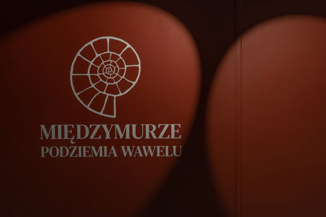 amonit - znak wystawy „Międzymurze”