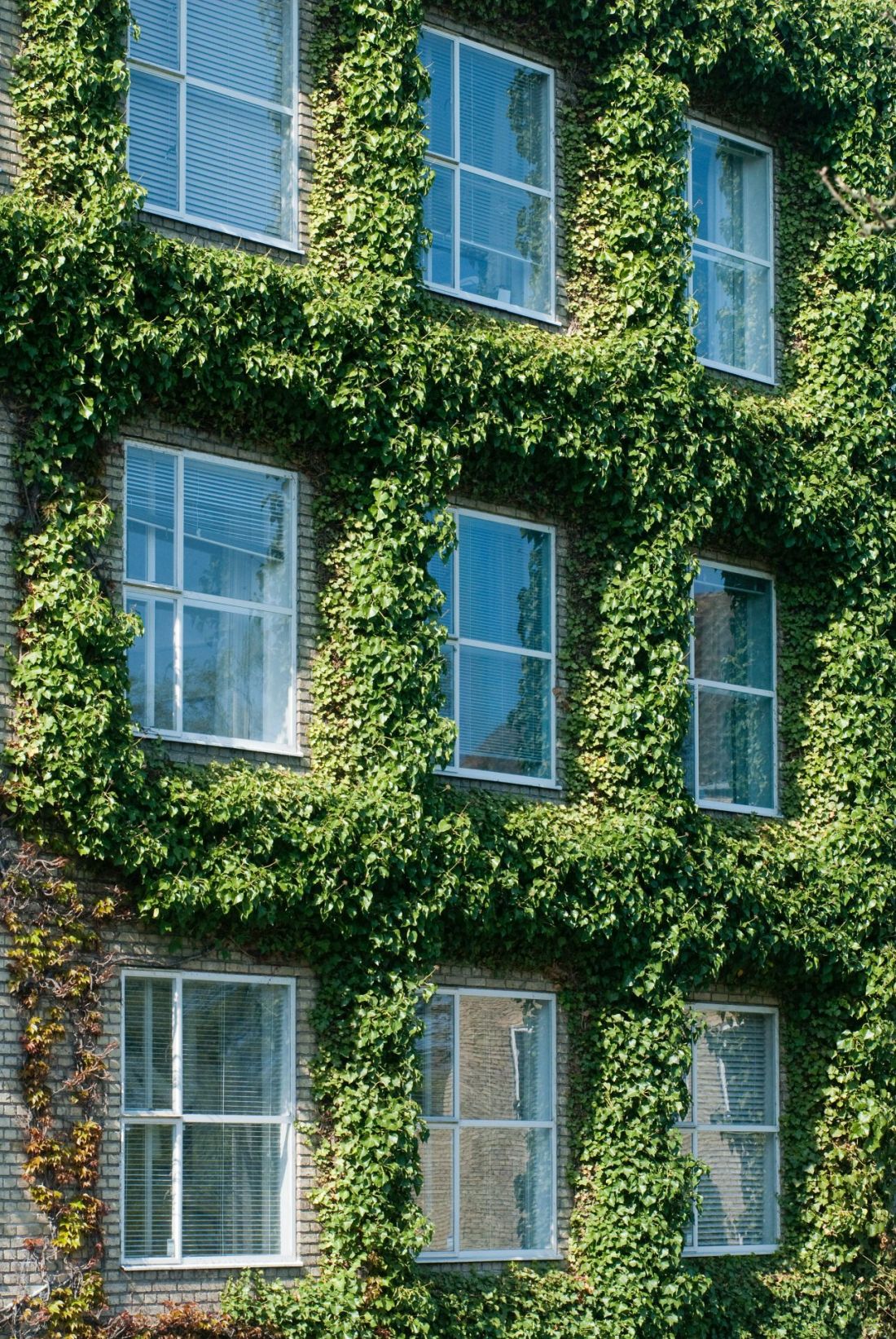 Kampus Uniwersytetu w Aarhus, Dania