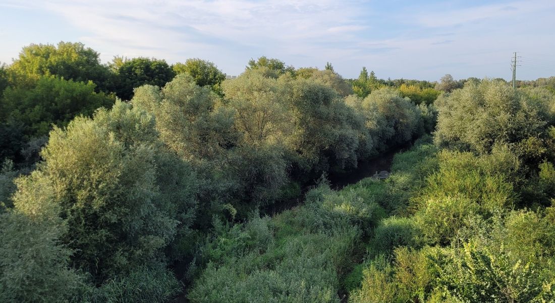 Ostrów Tumski w Poznaniu