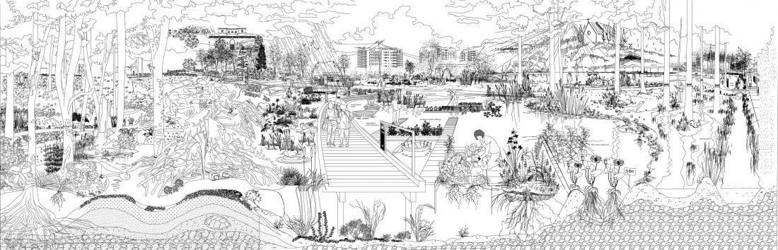 Park Mokradłowy Podskarpia; studium przypadku obszaru przy Gucim Gaju, ilustrujący możliwość ochrony i rozrostu istniejących miejsc nasiąkliwych