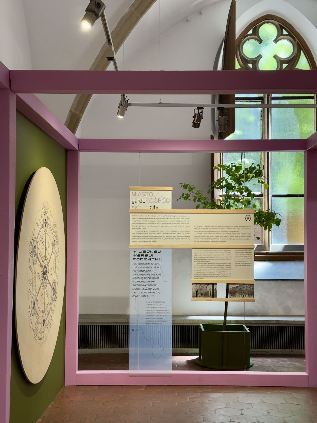 wystawa „Plantstoria” w MA we Wrocławiu