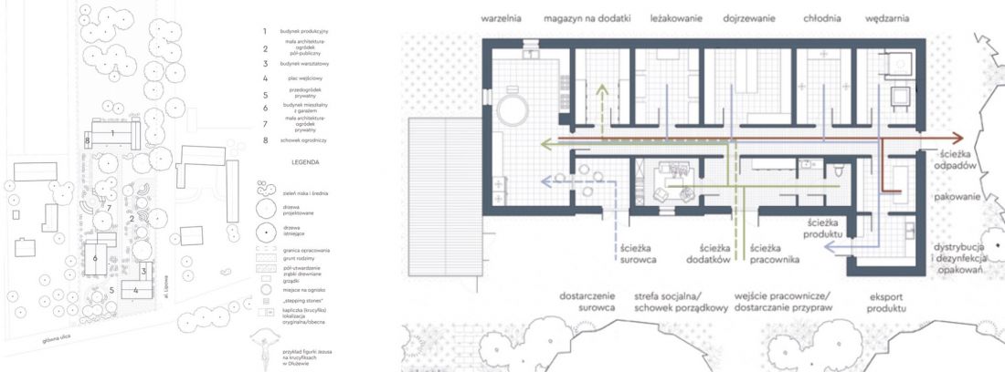 Gwar mleczny - plan