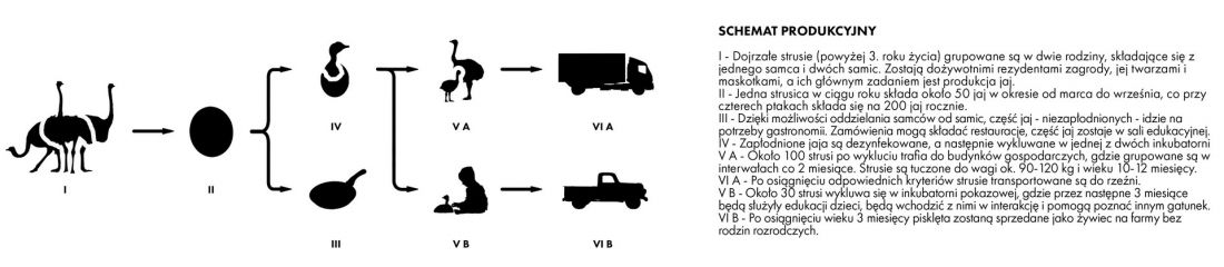 StruStory - schemat produkcyjny
