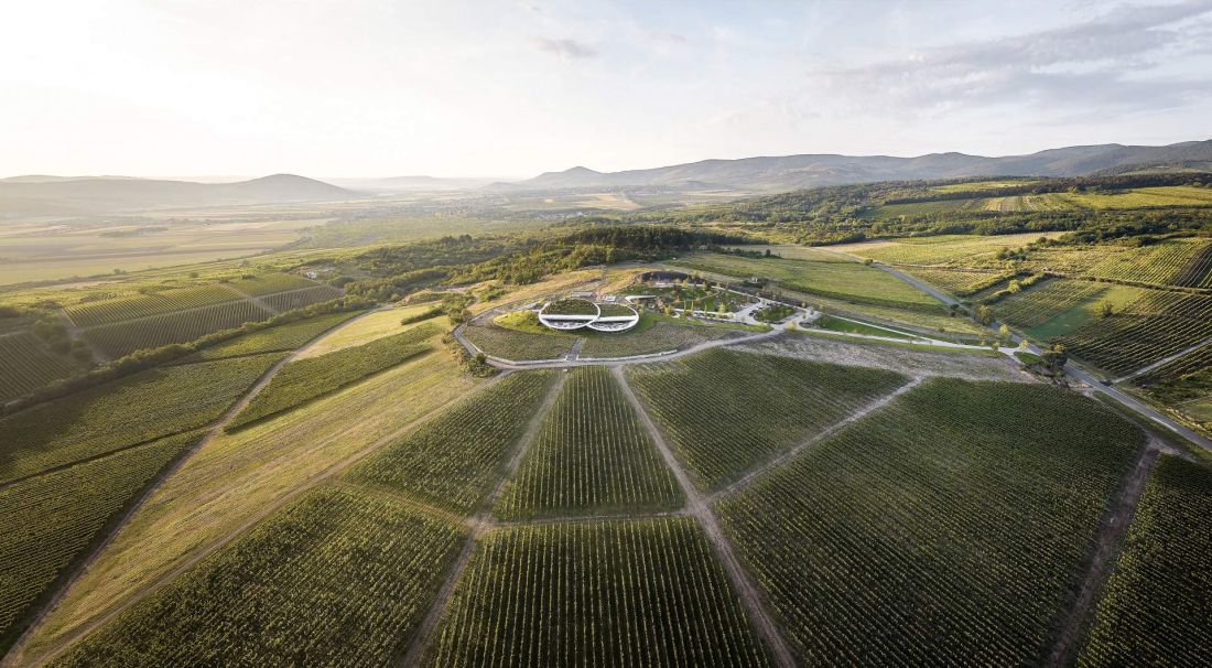 Winnica Sauska Tokaj