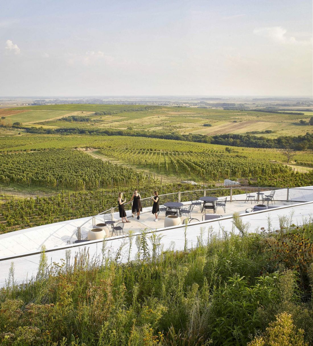 Winnica Sauska Tokaj