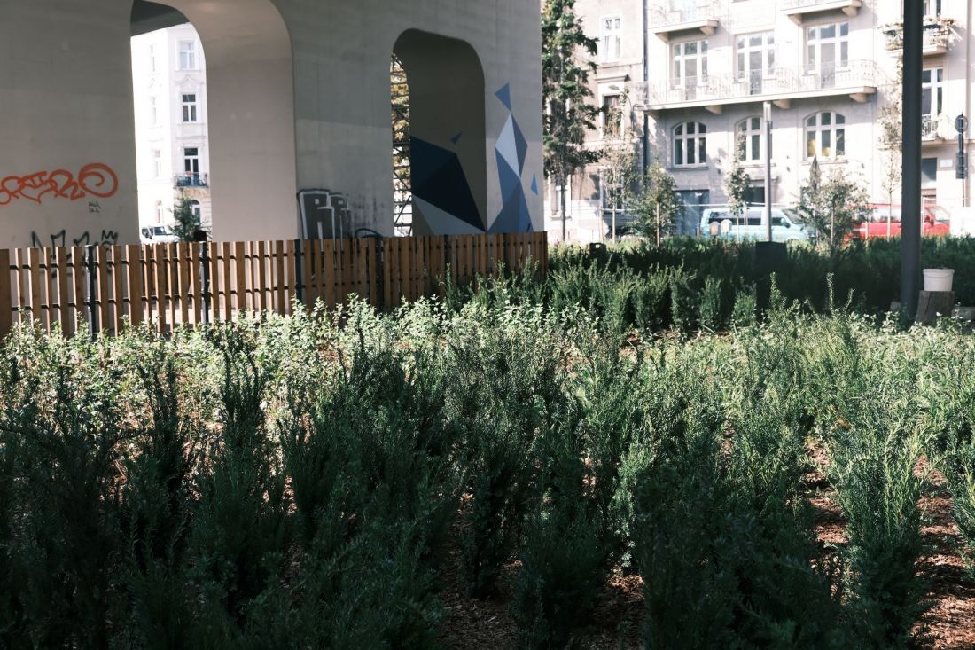 Park Kolejowy pod estakadami w Krakowie prawie gotowy