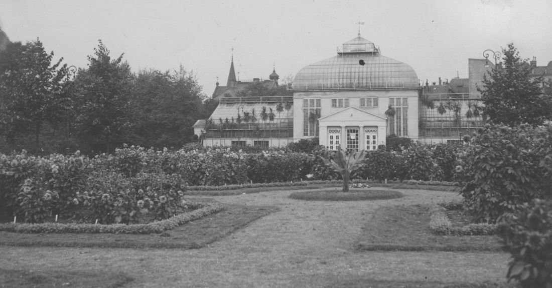 palmiarnia w poznańskim parku Wilsona