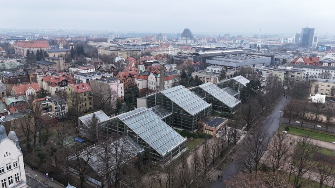 palmiarnia w poznańskim parku Wilsona