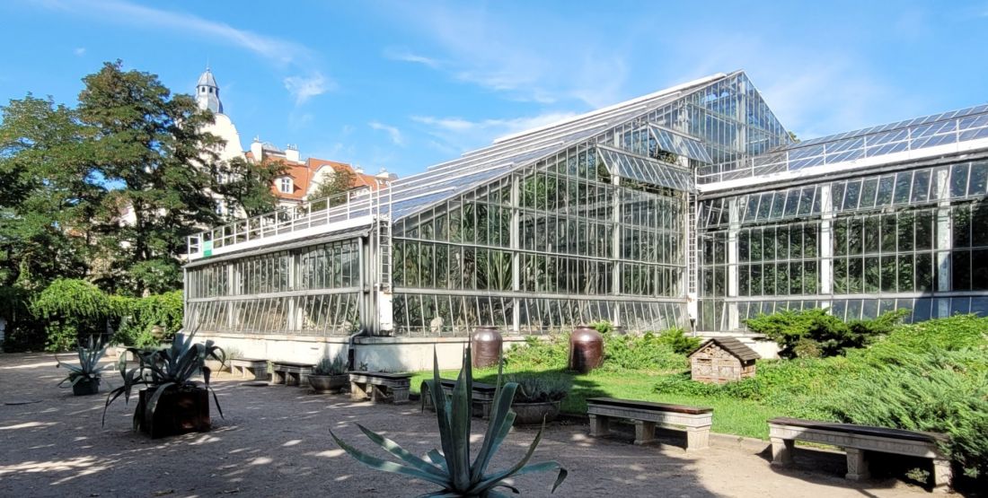 palmiarnia w poznańskim parku Wilsona