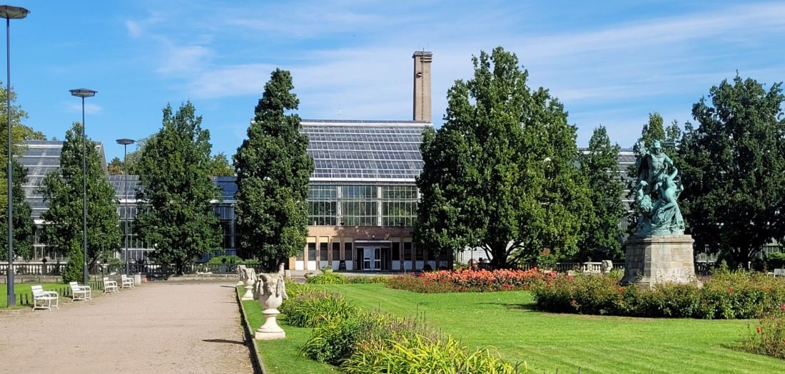 palmiarnia w poznańskim parku Wilsona