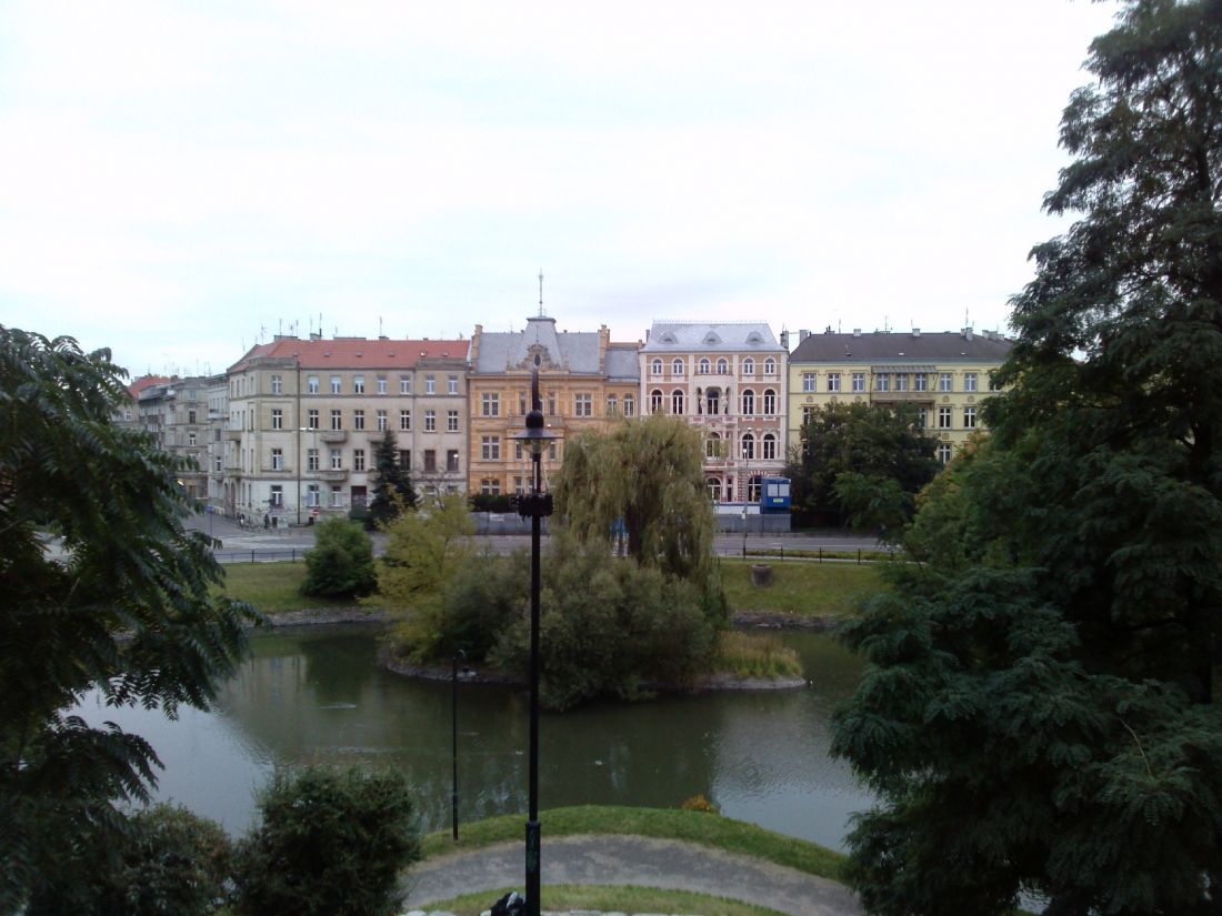 widok ze Wzgórza na wysepkę zamieszkiwaną przez łabędzie