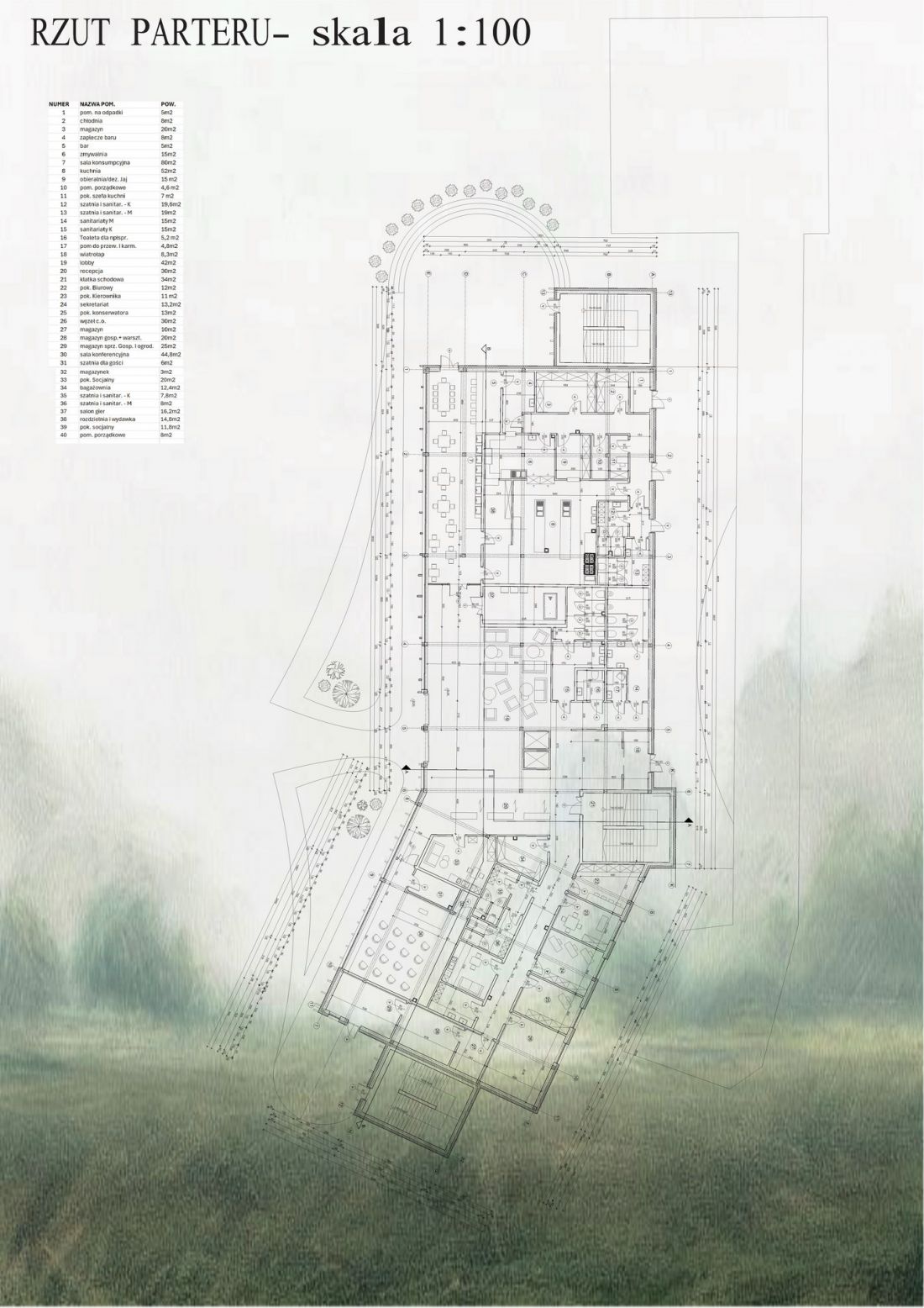rzut parteru