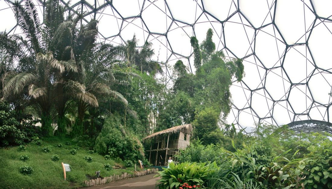 Eden Project w Kornwalii
