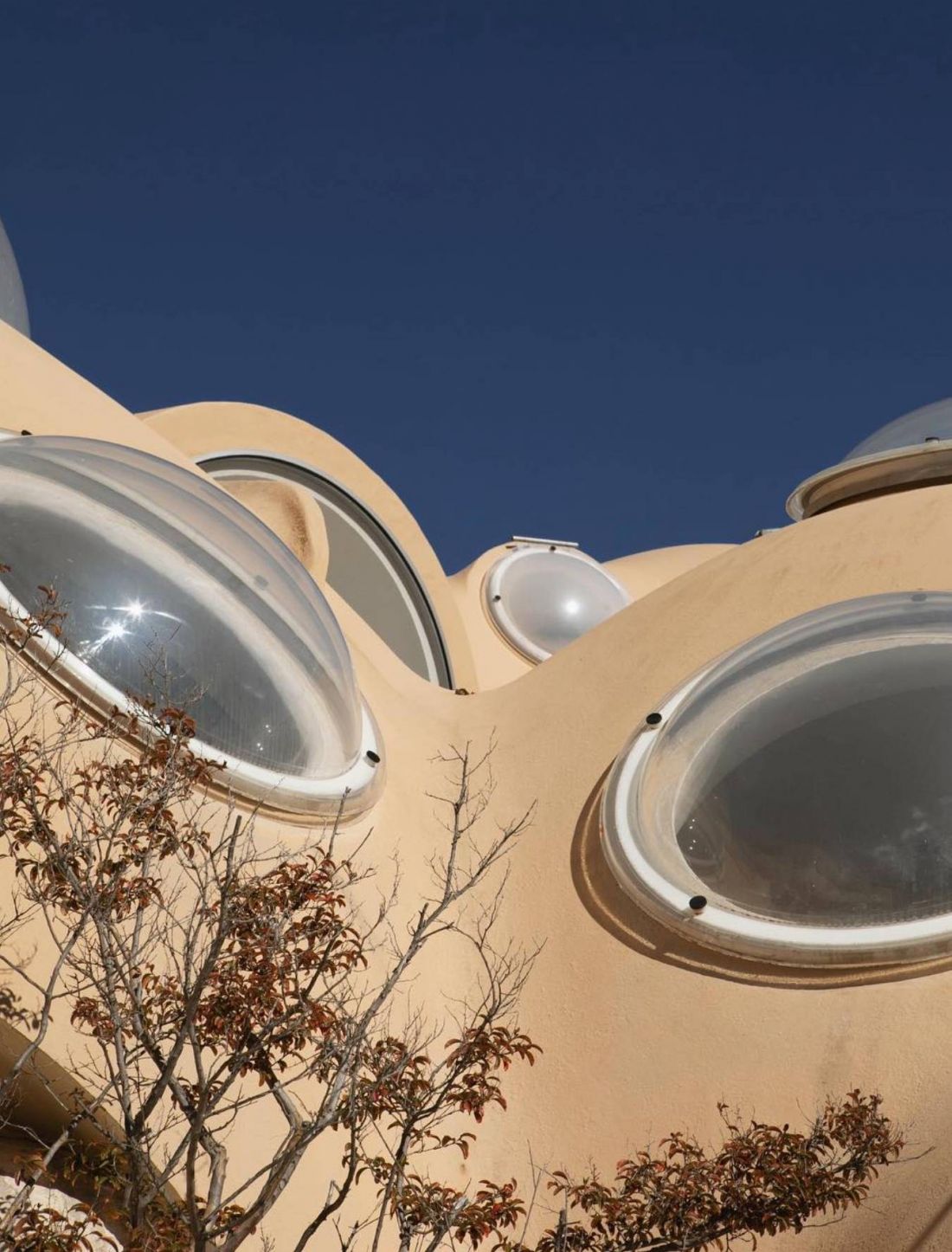 Le Palais Bulles