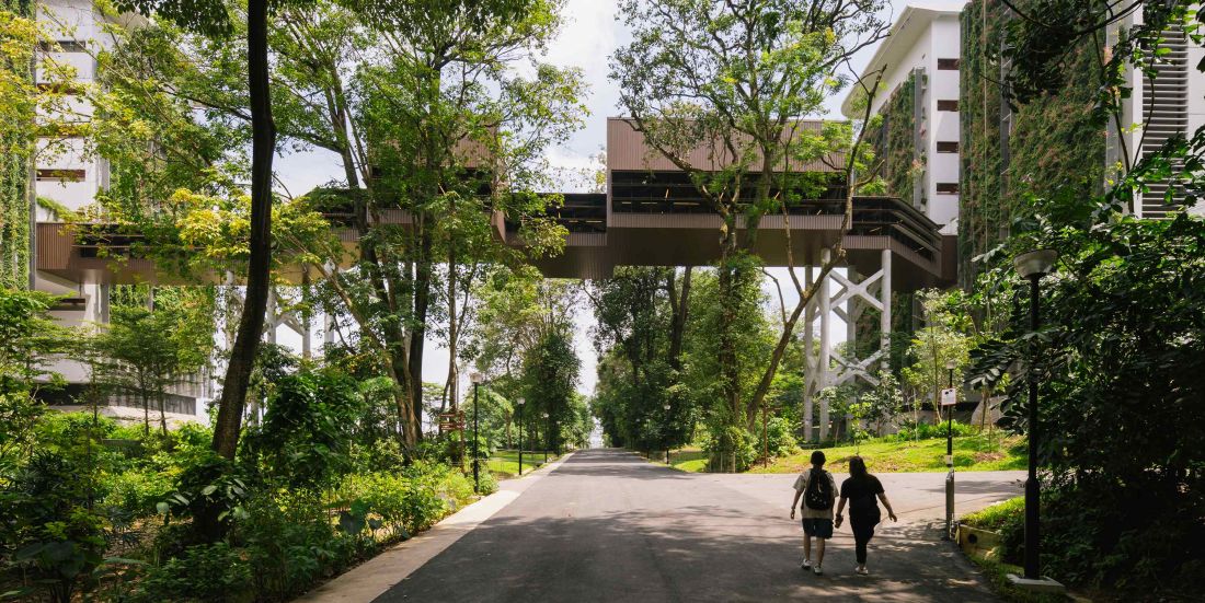 Kampus Singapurskiego Instytutu Technologii