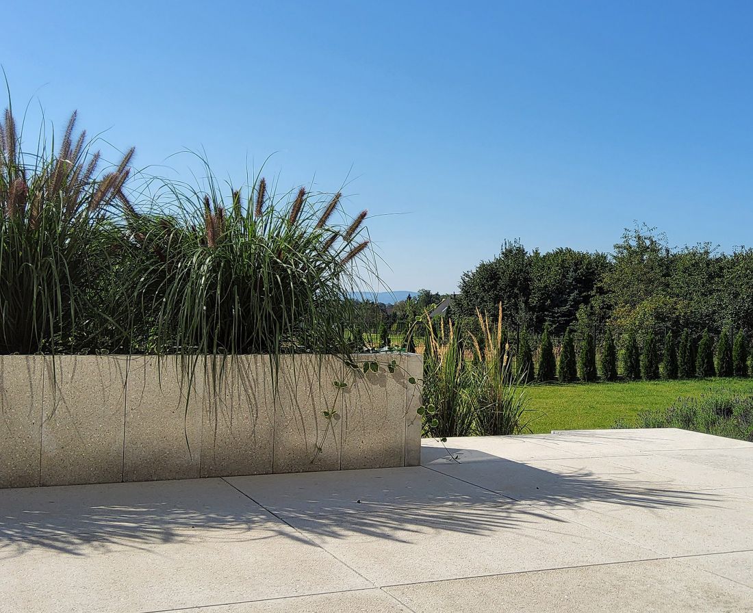 Palisada Grande Kalibria bianco crema; Gigante Grande Kalibria bianco crema
