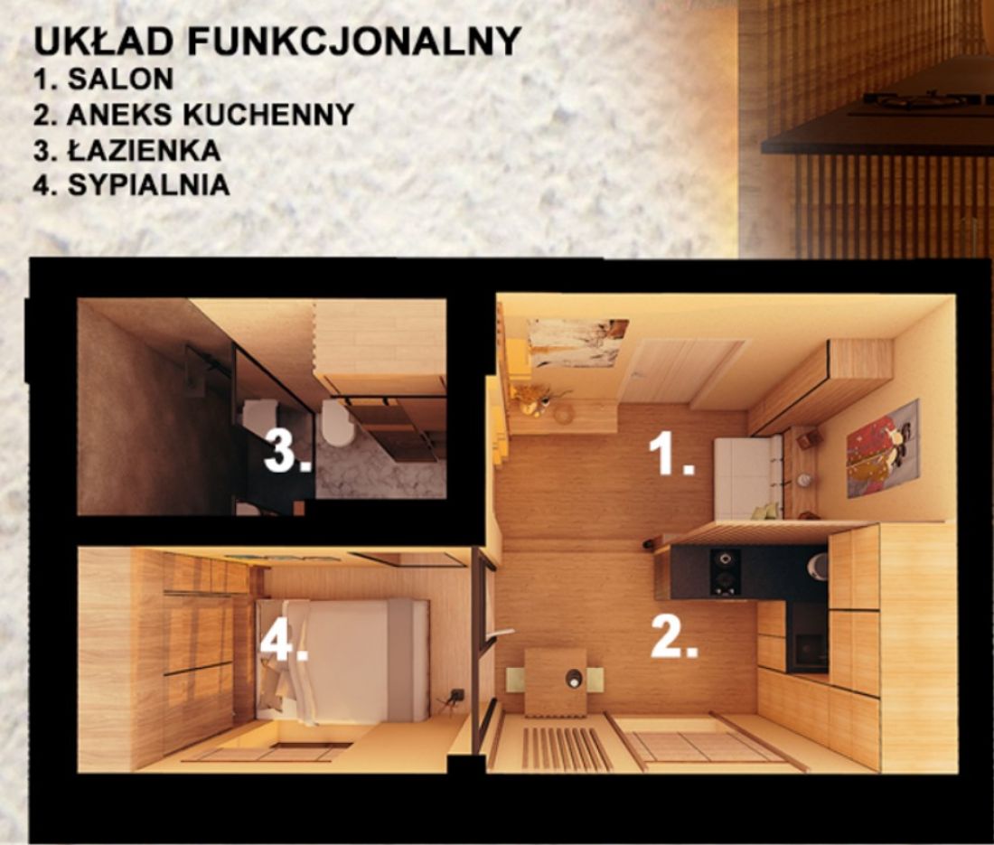 układ funkcjonalny