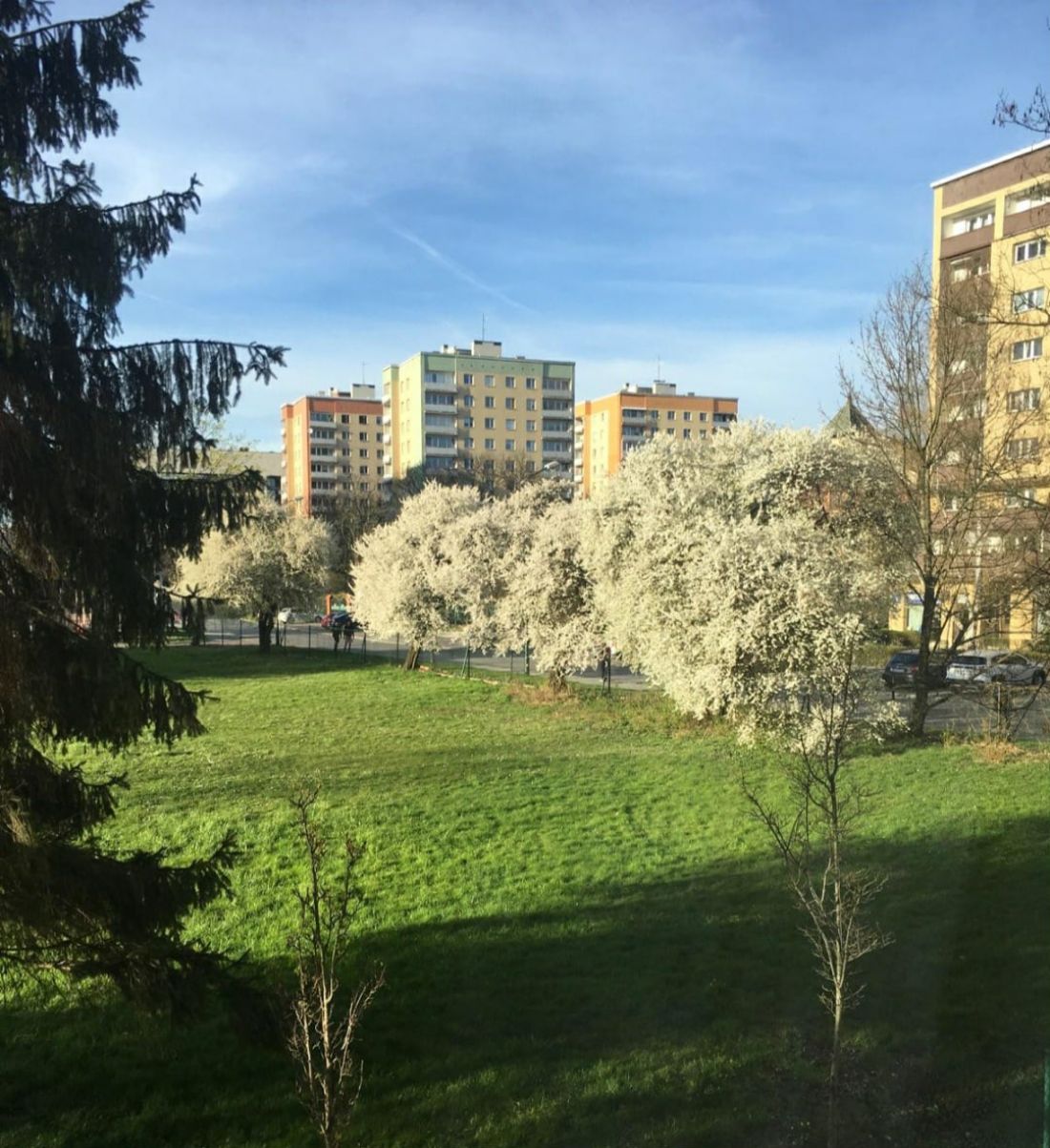 Polana, na której powstaje obecnie Lodowa Arena