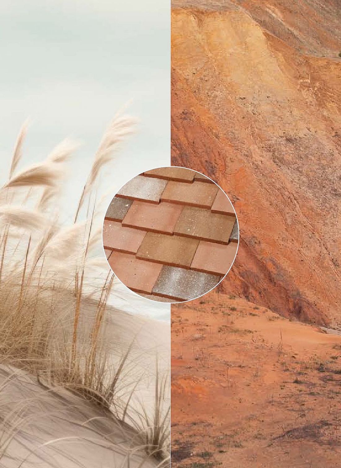Kolor Dune 