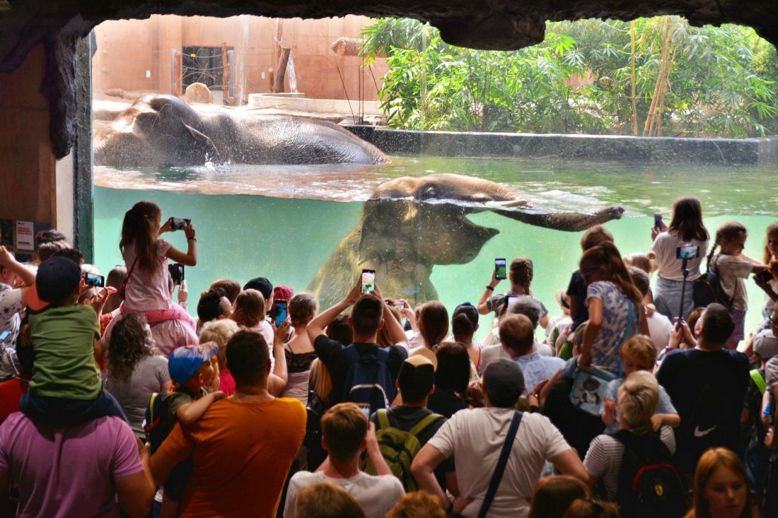 Zoo w Łodzi