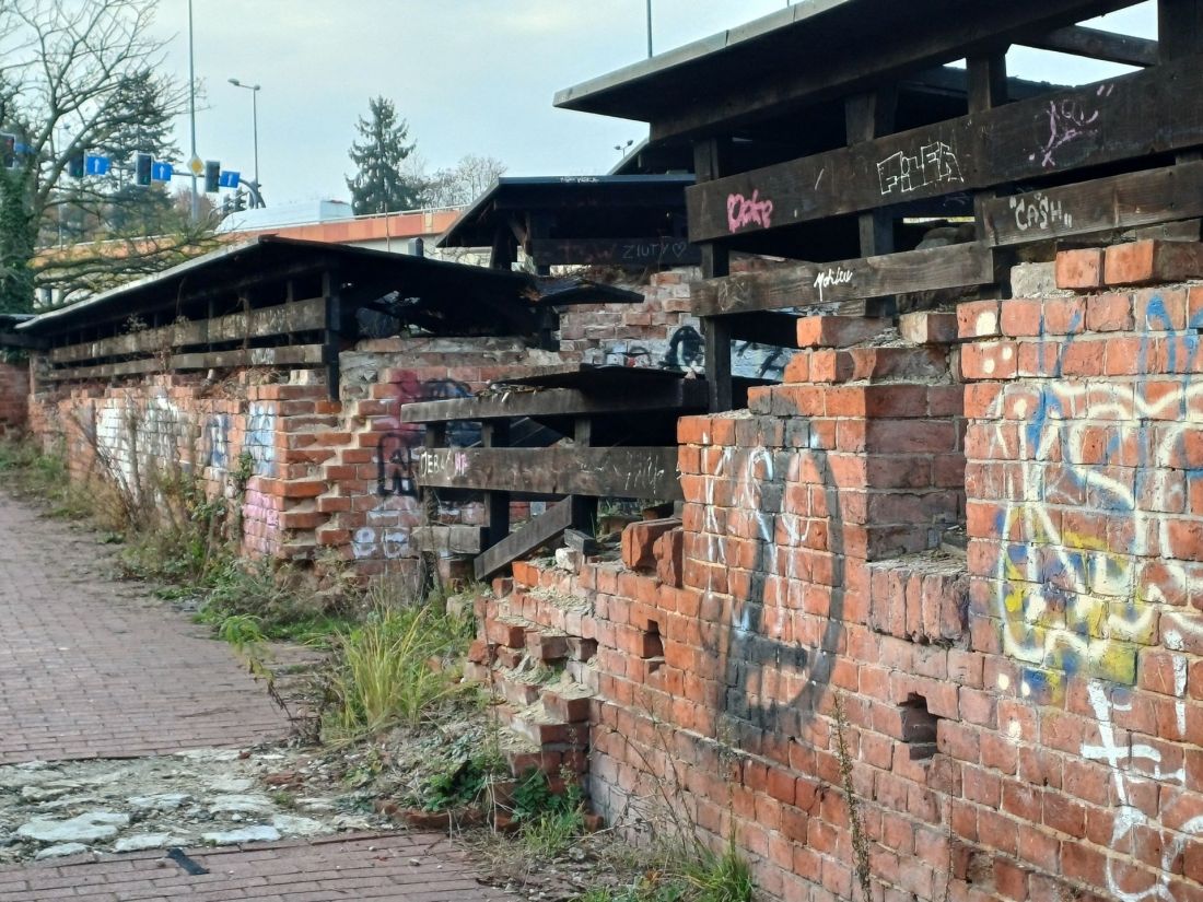 czwarta przyroda w ruinach Twierdzy Kraków na Rondzie Mogilskim