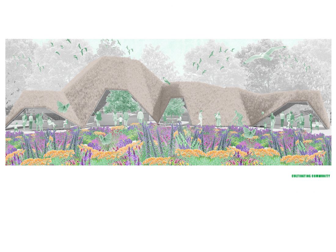Cultivating community
