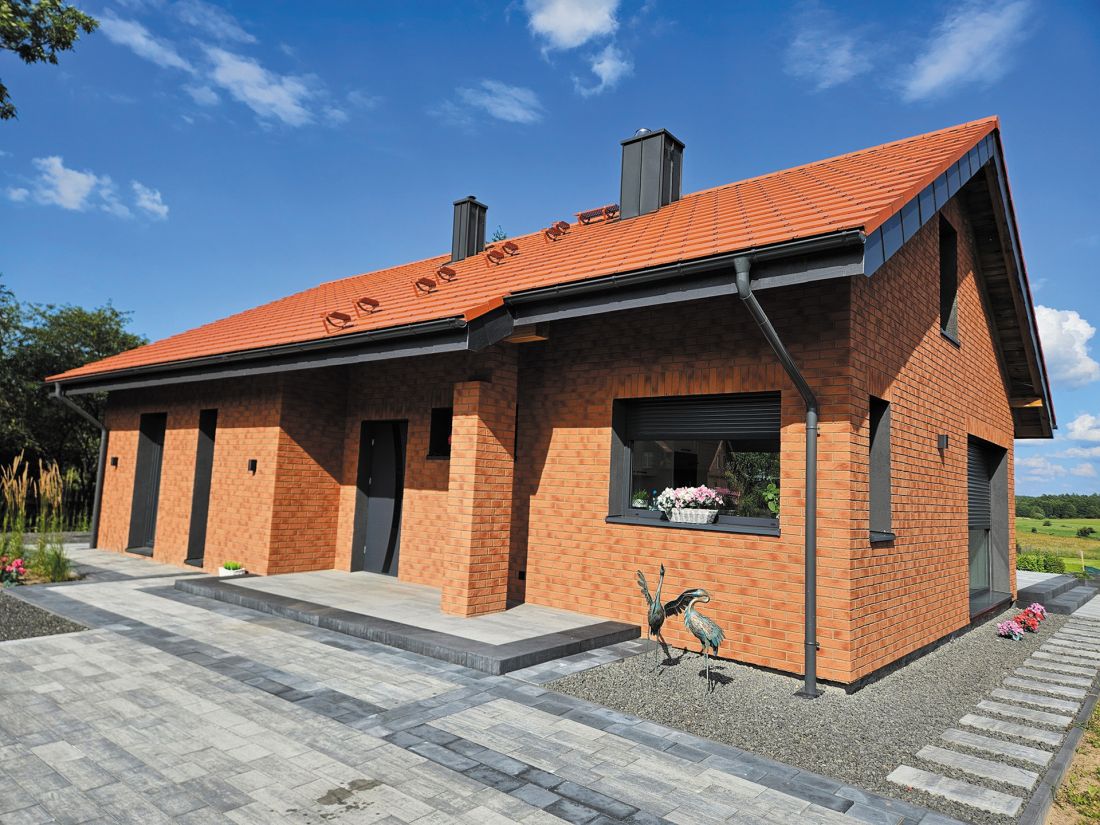 6116 TOSKANIA, KLEJ 205