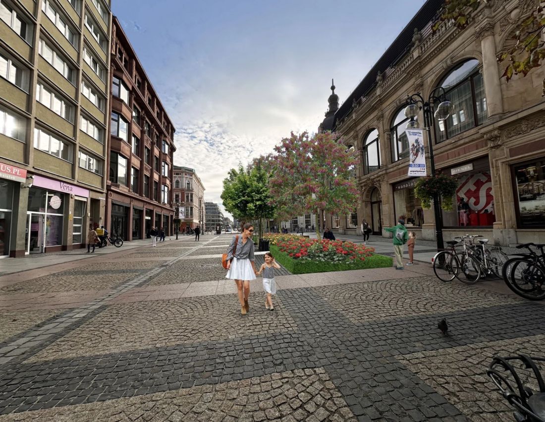 drzewa zostaną także posadzone na ulicy Świdnickiej