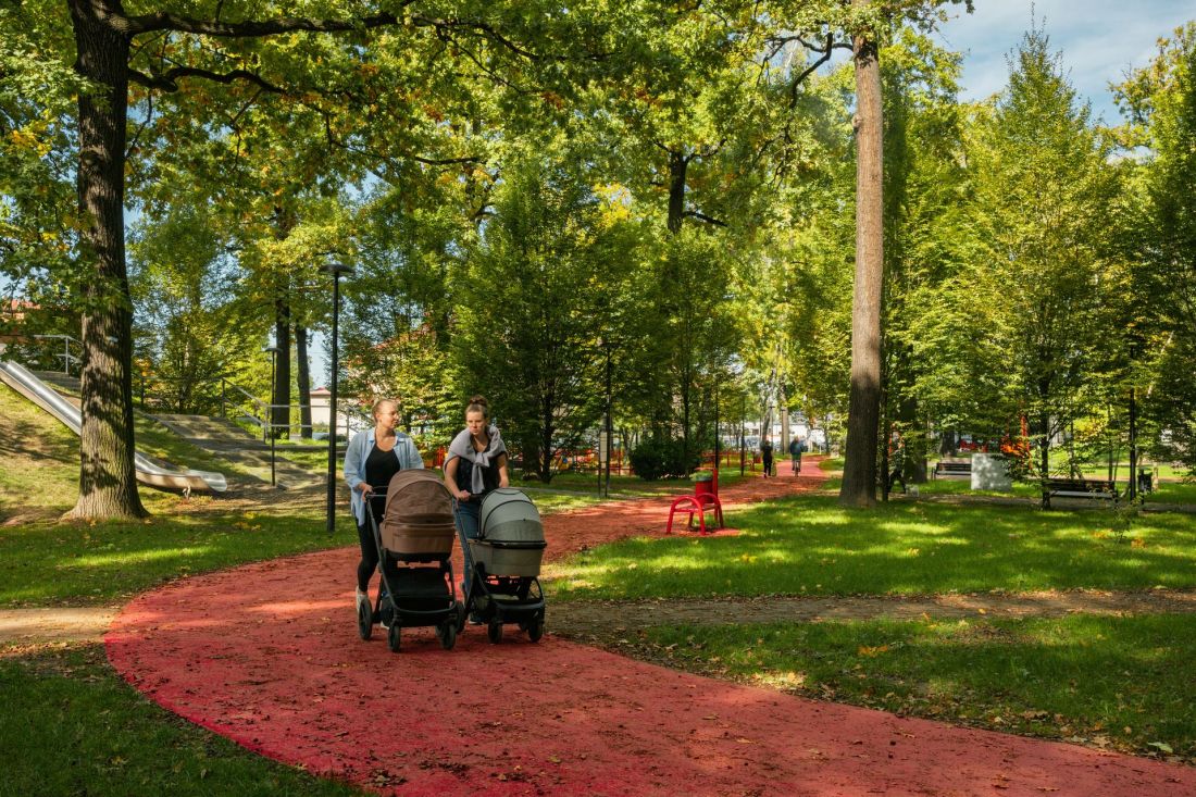 Park „Lasek” w Czechowicach-Dziedzicach