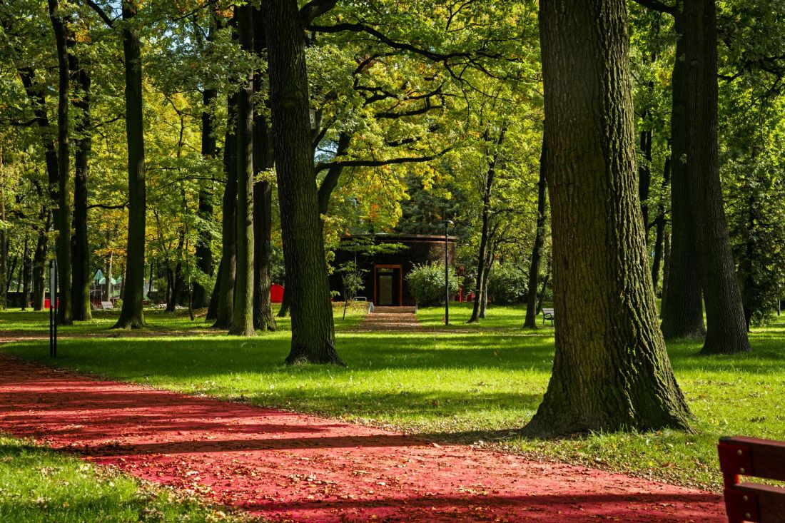 Park „Lasek” w Czechowicach-Dziedzicach