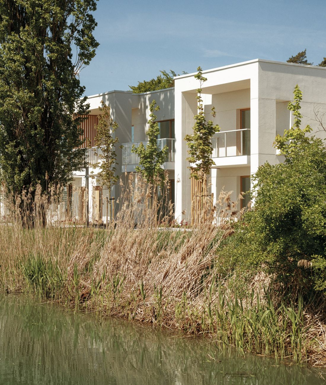 Pino Resort