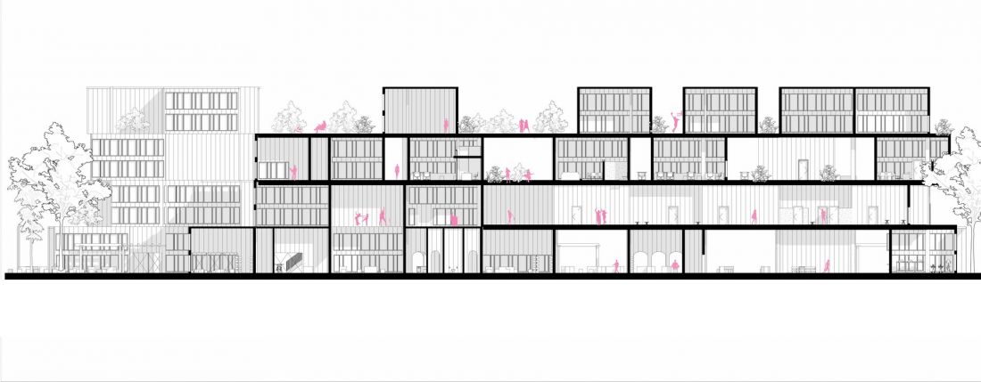 przekrój