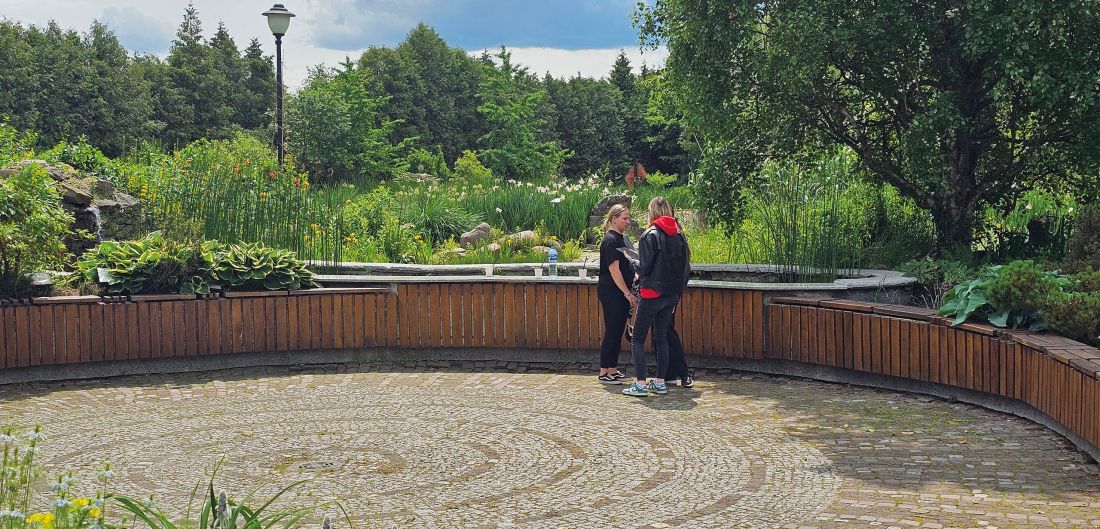 dokumentacja z prac terenowych z ćwiczeń rozbiórki terenów zieleni w Arboretum w Bolestraszycach