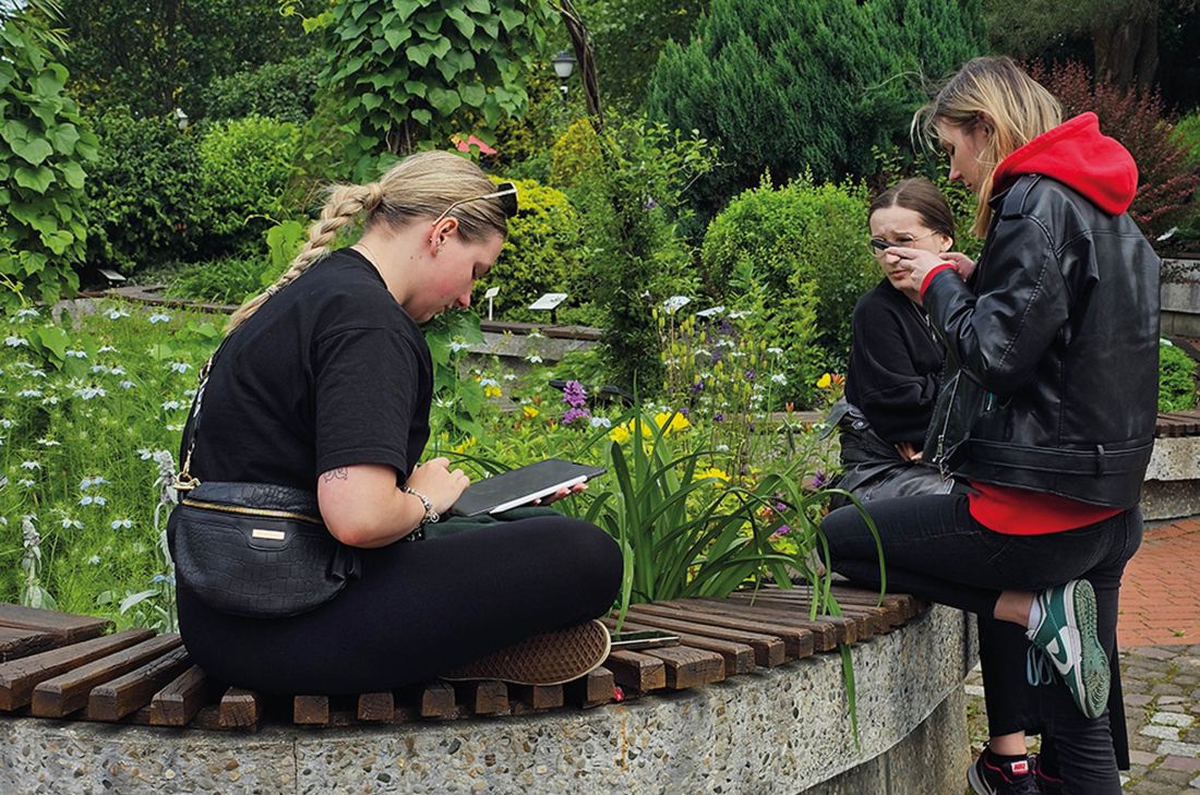 dokumentacja z prac terenowych z ćwiczeń rozbiórki terenów zieleni w Arboretum w Bolestraszycach