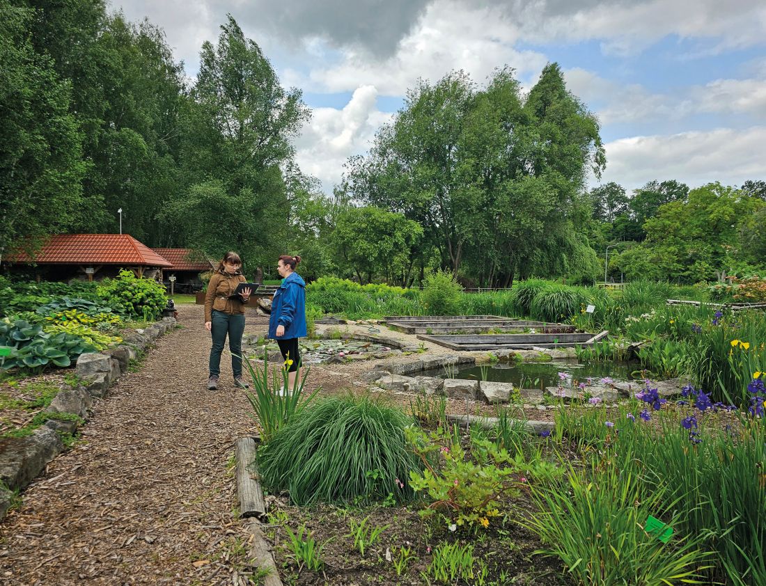 dokumentacja z prac terenowych z ćwiczeń rozbiórki terenów zieleni w Arboretum w Bolestraszycach