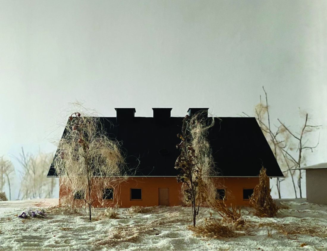 dom mieszkalny, widok z ogrodu
