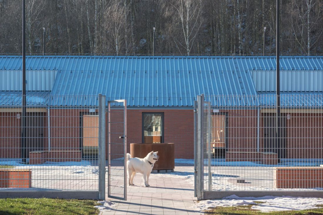 Nowe schronisko w Wałbrzychu