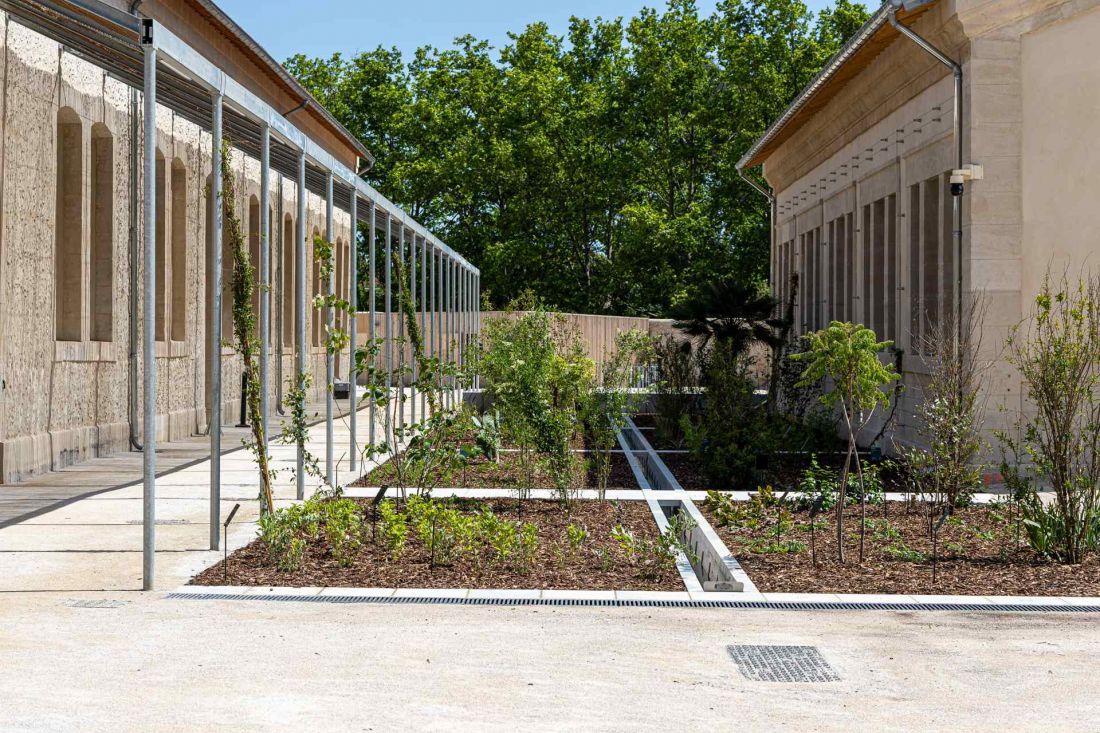 Lot 8 w Arles