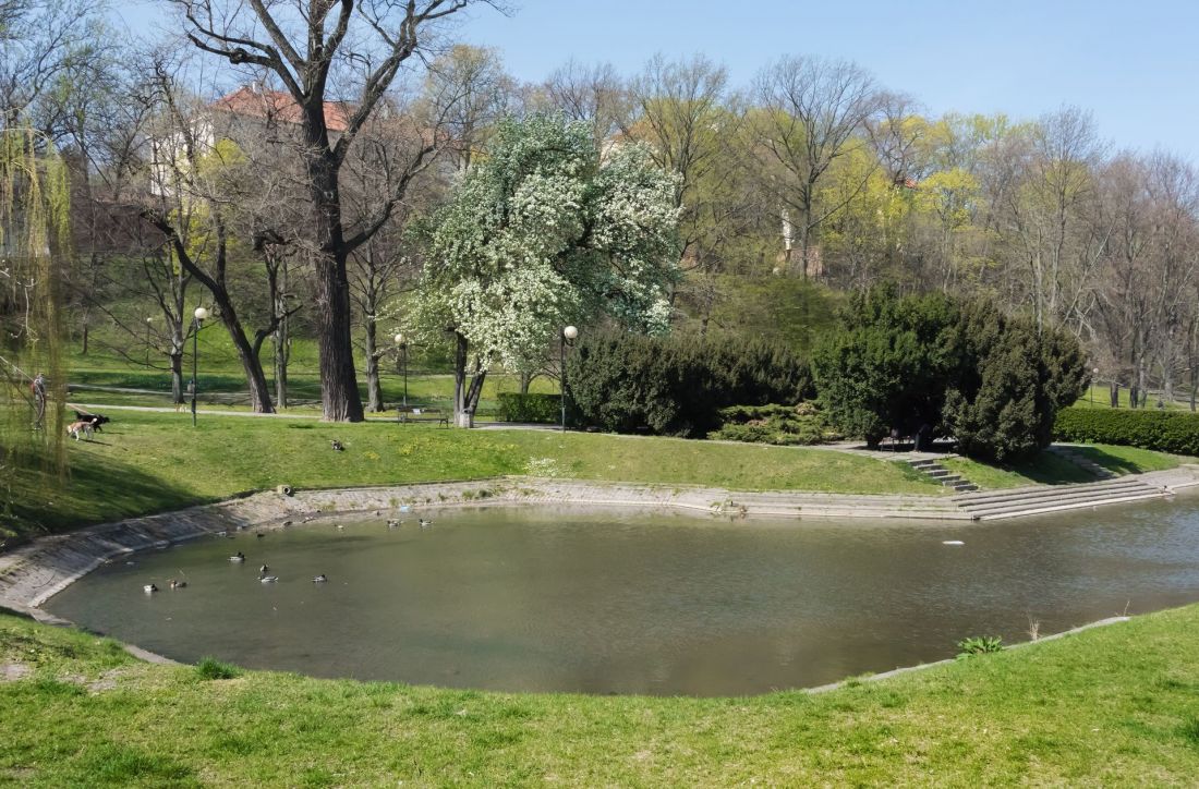 Park Kazimierzowski w Warszawie