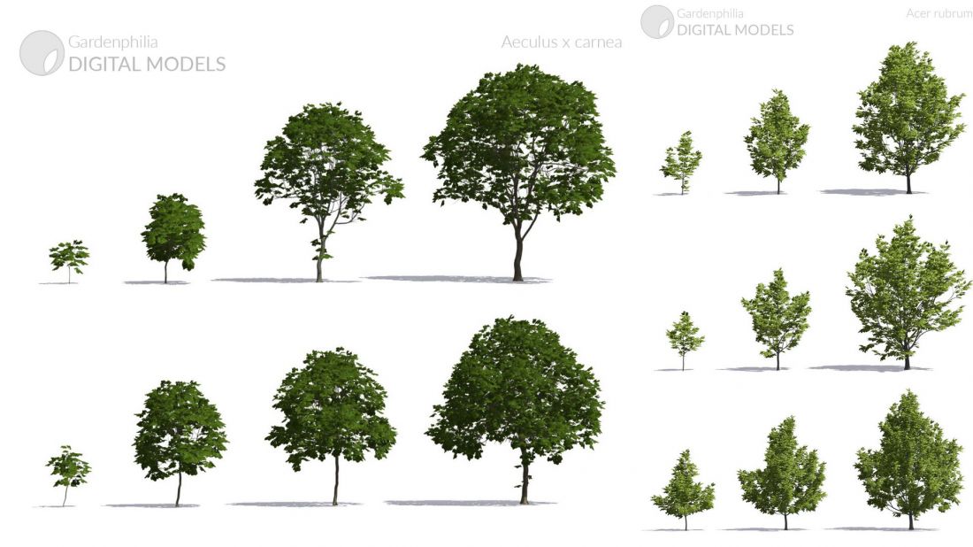 Modele roślin w aplkacji Gardenphilia DESIGNER - proj. Stefan Daszewski
