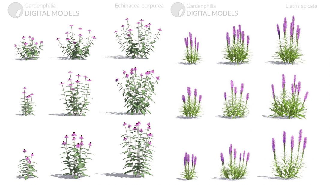 Modele roślin w aplkacji Gardenphilia DESIGNER - proj. Stefan Daszewski