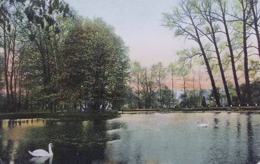 rozlewisko za III śluzą, gdzie często można było zobaczyć łabędzie; pocztówka wydana około 1910 roku