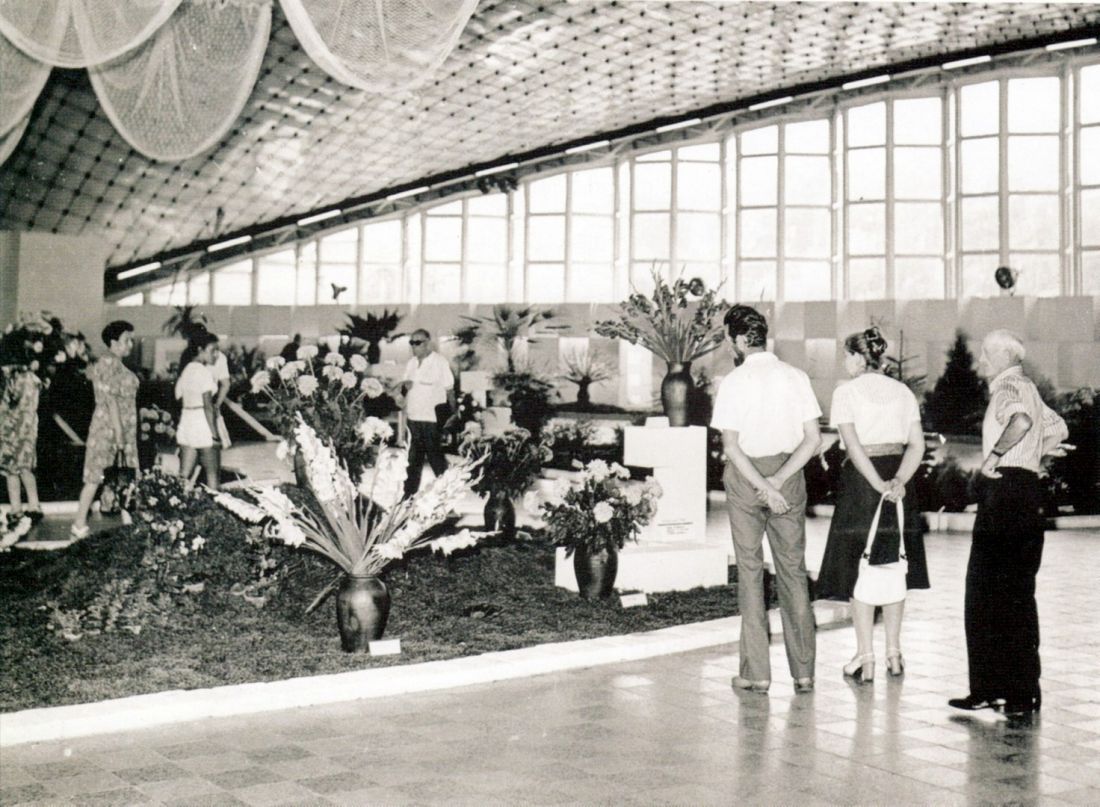 wystawa kwiatów w 1975 r., wnętrze hali Kapelusz