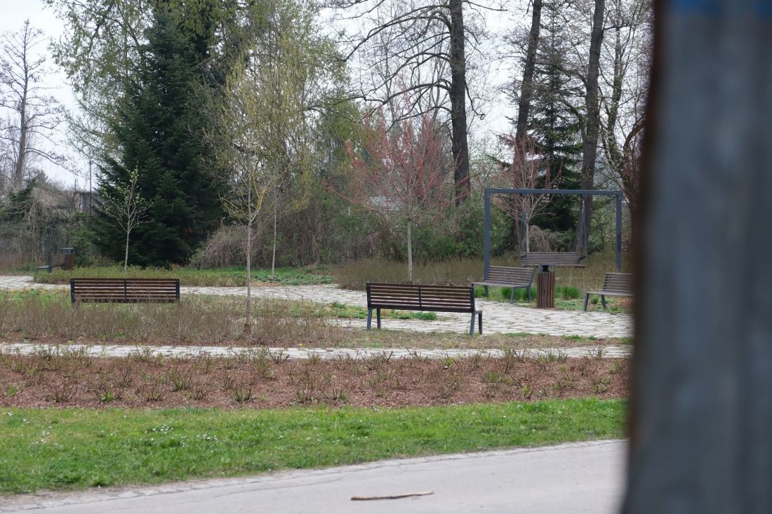 Staw przy ulicy Kaczeńcowej w Nowej Hucie