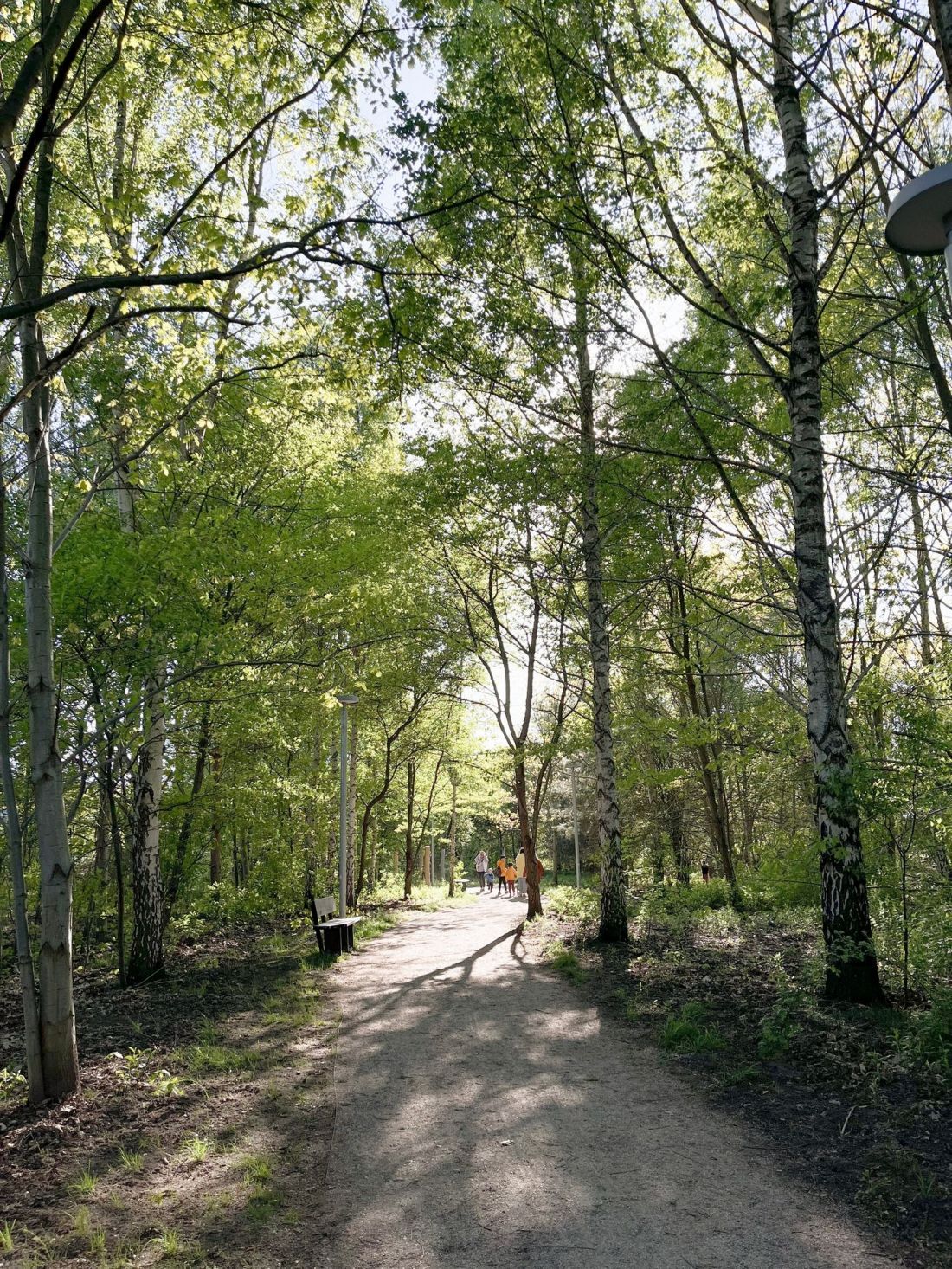 Park Aktywności Rodzinnej w Warszawie