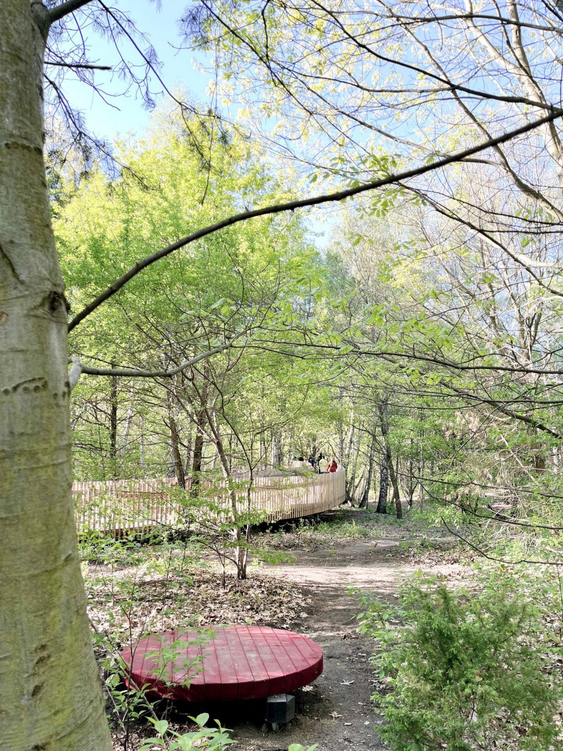 Park Aktywności Rodzinnej w Warszawie