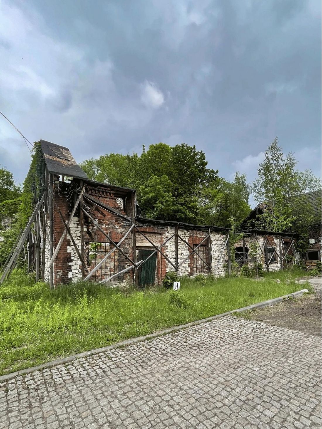 Pałac Donnersmarcków - ruiny budynków użytkowych