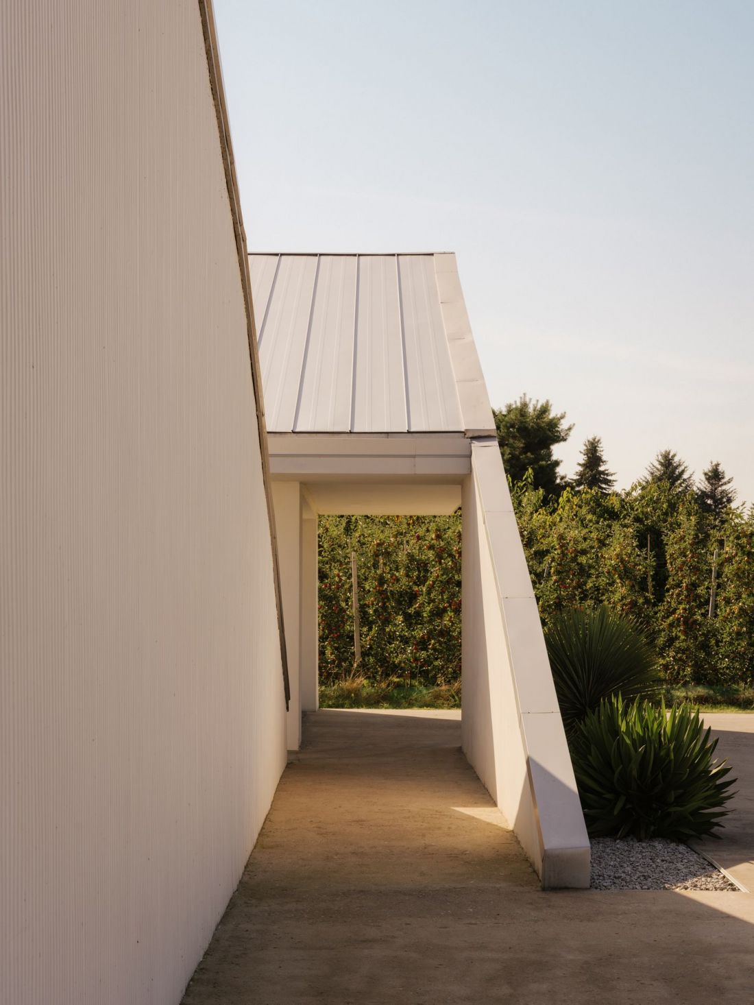 Slope House